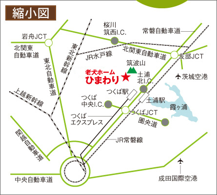 縮小図