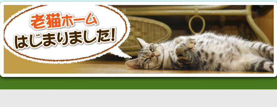 老猫ホームのご案内