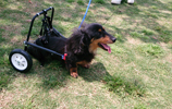 image01