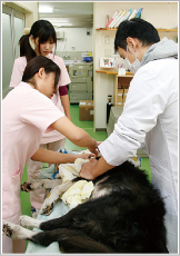 手術中
