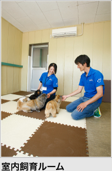 室内飼育部屋