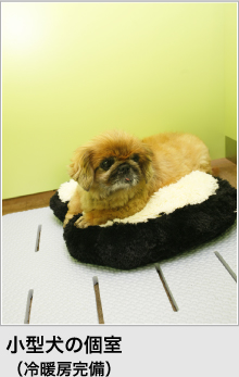 小型犬の個室