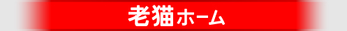 老猫ホーム