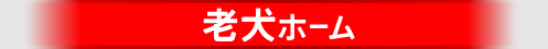 老犬ホーム