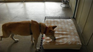 画像 592