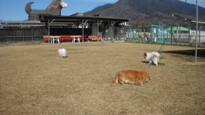 画像 019
