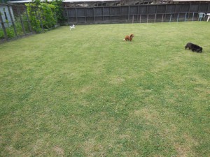 DSCN2477