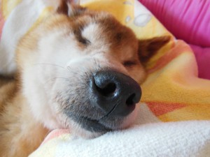 dscn3168