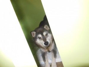 dscn3535