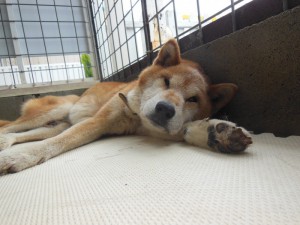 dscn3663