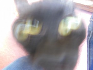 dscn2306