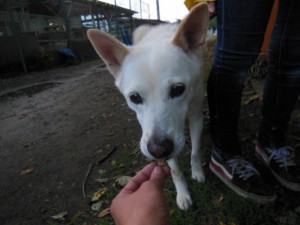 dscn3685