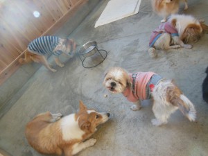 dscn4408