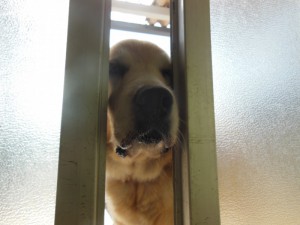 DSCN3571