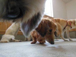 DSCN3766