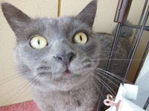DSCN5079