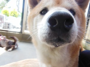 DSCN6091