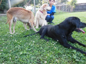 DSCN6607