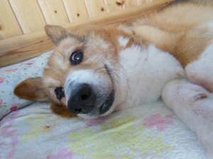 DSCN6128