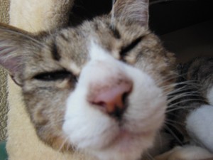 DSCN7434