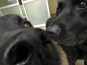 DSCN7562
