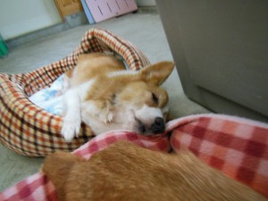 DSCN7786