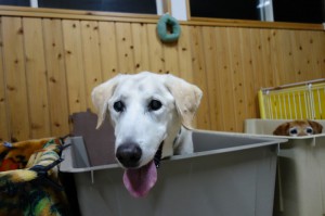 DSC00676