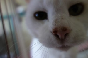 DSC01901