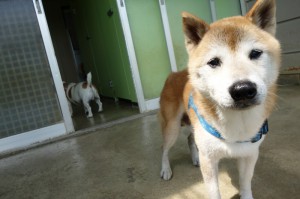DSC02538