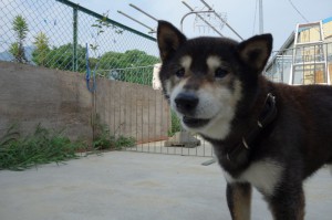 DSC02549