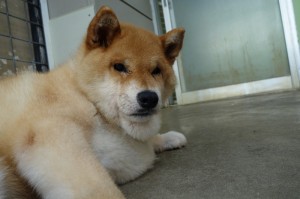 DSC03035