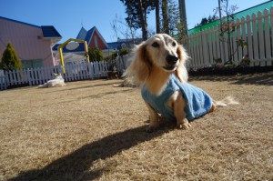 DSC04069