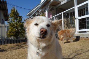 DSC04351