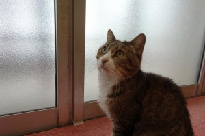 DSC04582