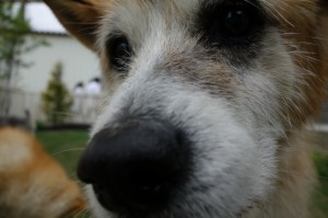DSC05055