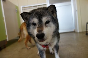 DSC05082