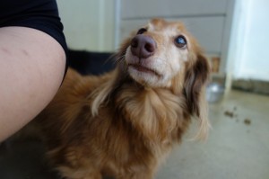 DSC05101
