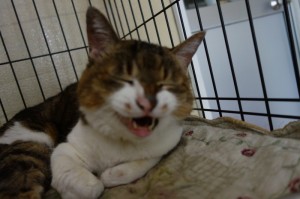 DSC05260