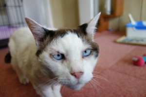 DSC05668