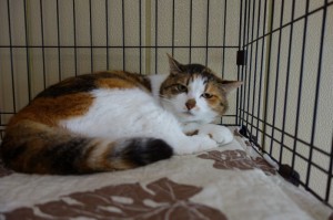 DSC05675
