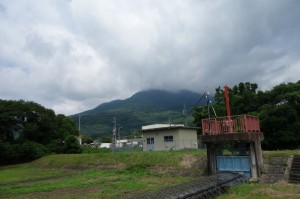 DSC05771