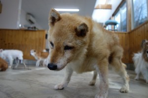 DSC06278