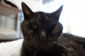 DSC07563
