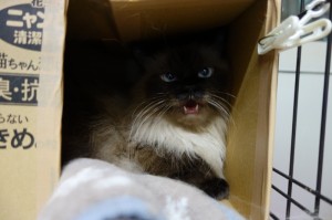 DSC07941