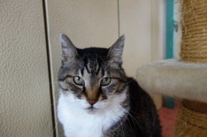 DSC08109