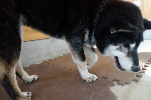 DSC09543