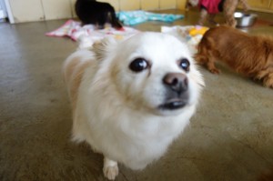 DSC09610