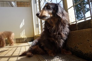 DSC09811