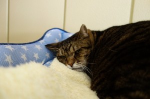 DSC09901