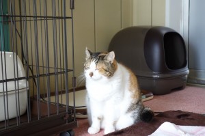DSC09905